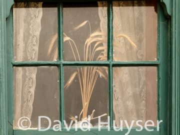 glazing