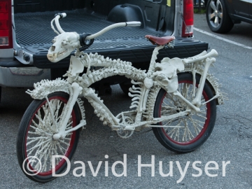 bone rattling ride