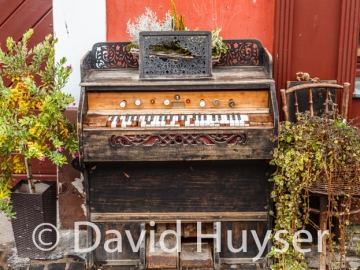 recital at noon