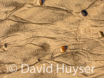 take only pictures, leave only footprints