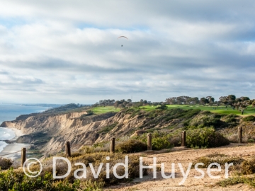 Torrey Pines