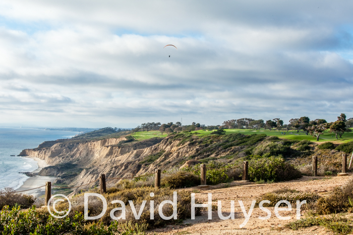Torrey Pines