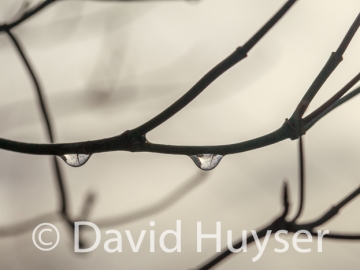 “We are watching you”