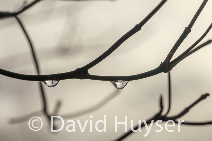 “We are watching you”