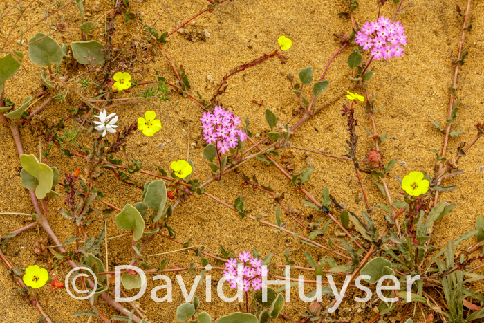 competing for space and attention