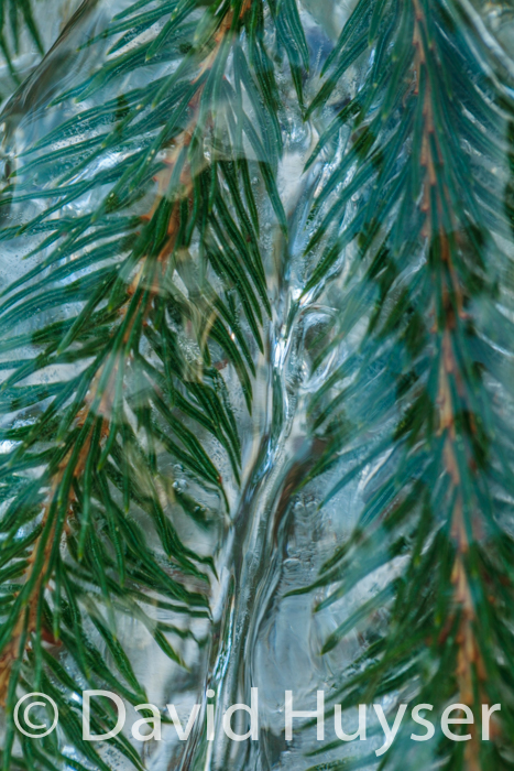 encased