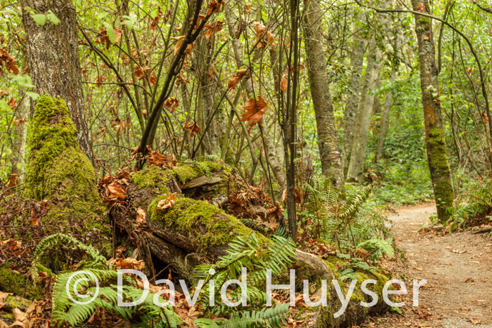 it’s a battle, water wins here