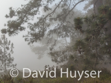 passing fog