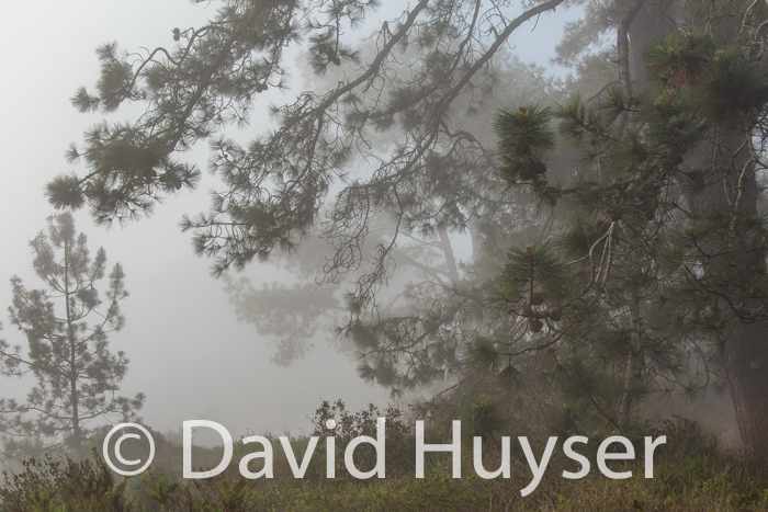 passing fog