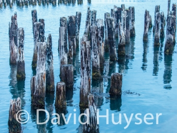 pilings