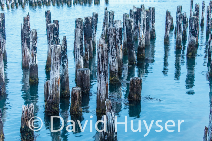 pilings