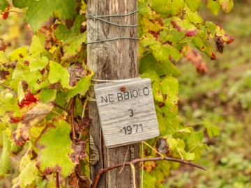 row marker