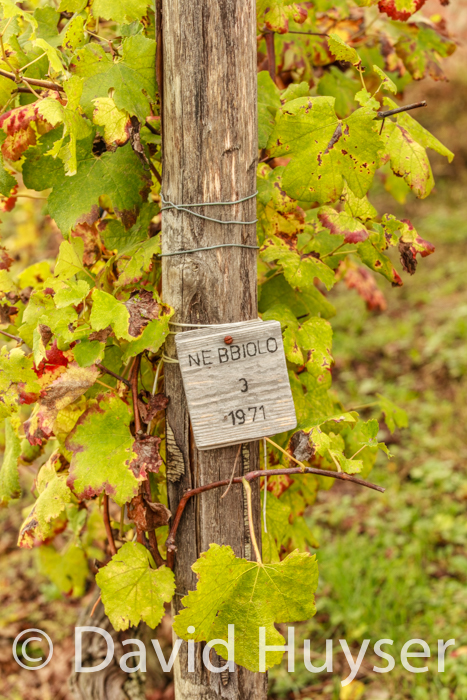 row marker