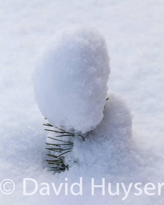 snow capped
