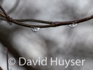 this is my fierce face