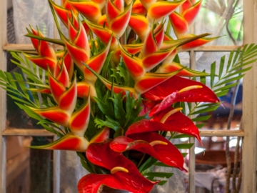 tropical arrangement