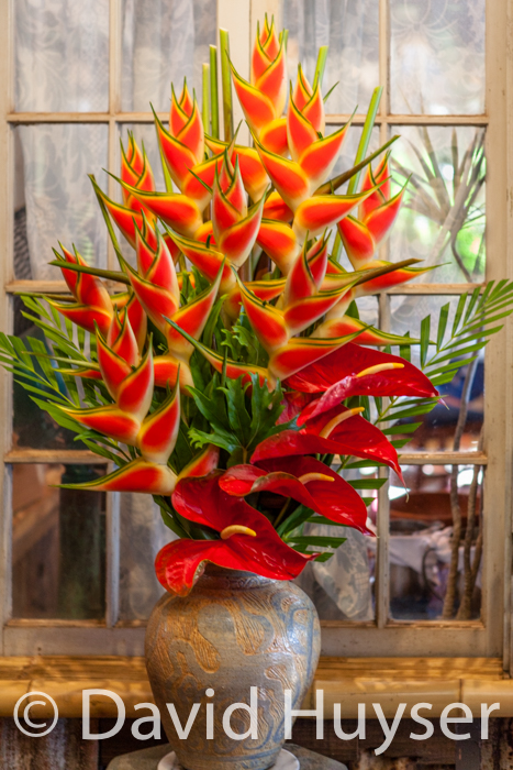 tropical arrangement