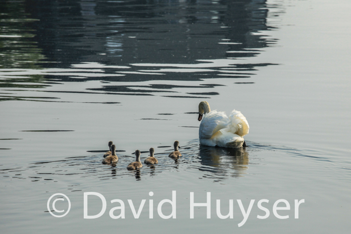 Family Outing