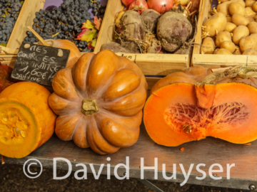 orange squash