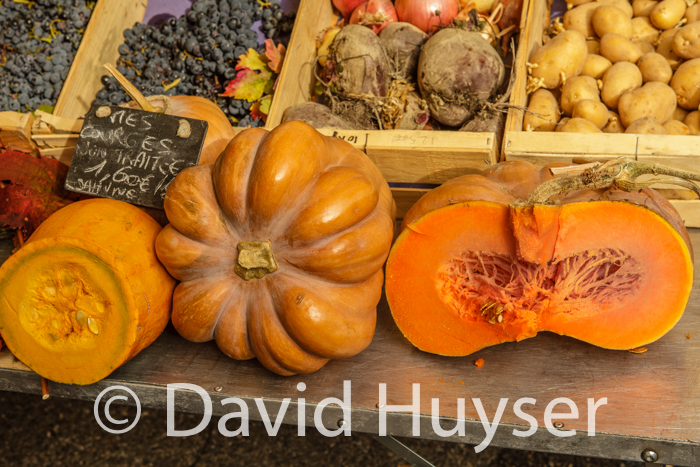 orange squash