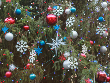 trimmed tree