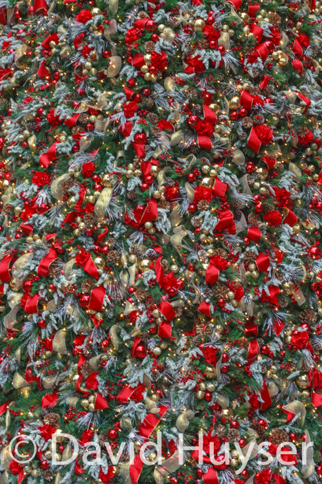 trimmed tree II