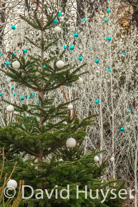 white globes